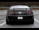 MUSTANG Bimmer post pic 4.jpg